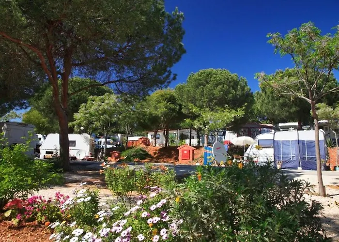 Spacieux 8 Pers Avec Terrasse - - Api-1-52-1889 Marbella